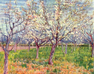 Blooming Orchard by Vincent van Gogh